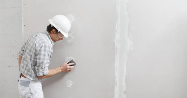 Best Drywall Texturing  in Friona, TX